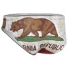 TURBO Men's Cal Flag Star Water Polo Brief 2 TURBO Men's Cal Flag Star Water Polo Brief -Family Swim Shop 5666523873448 brown 1a
