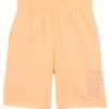 Nike Boys' 17" Volley Swim Shorts (Big Kid)