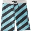 Volcom Boys' Stripey Elastic Boardshort (Toddler, Little Kid, Big Kid) 1 Volcom Boys' Stripey Elastic Boardshort (Toddler, Little Kid, Big Kid) -Family Swim Shop 5668450599080 paleaqua 1a
