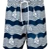 Boys' Pool Board Shorts (Toddler, Little Kid, Big Kid) -Family Swim Shop 5668502175912 bluewhite 1a
