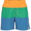 Boys' Swim Trunk (Little Kid, Big Kid) -Family Swim Shop 6975971262632 multi 1a