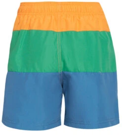 Boys' Swim Trunk (Little Kid, Big Kid) -Family Swim Shop 6975971262632 multi 3a