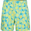Men's Board Shorts -Family Swim Shop 6975973589160 original 1a