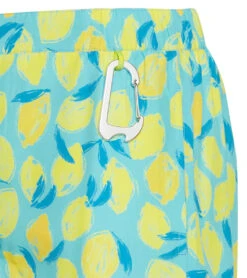 Men's Board Shorts -Family Swim Shop 6975973589160 original 4a