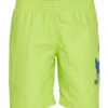 Nike Boys' Octologo 15" Volley Short (Little Kid) -Family Swim Shop 7187161514152 atomicgreen 1a