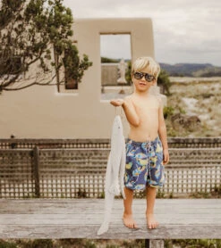 Boys' Going Bananas Volley Board Short (Toddler, Little Kid, Big Kid) -Family Swim Shop 7217020240040 slate 3a