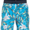 Volcom Men's 17" Beach Bunch Swim Trunks -Family Swim Shop 7358038868136 maliblue 1a