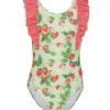 Seafolly Girls' Strawberry Sundae One Piece Swimsuit (Baby, Toddler, Little Kid) 2 Seafolly Girls' Strawberry Sundae One Piece Swimsuit (Baby, Toddler, Little Kid) -Family Swim Shop 7433351856296 sundae 1a