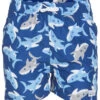 Boys' Wesley UPF 50+ Swim Trunks (Baby, Toddler, Little Kid) -Family Swim Shop 7438199357608 happyshark 1a
