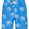 Men's 17" Palmlaza Printed Swim Trunks -Family Swim Shop 7456071647400 blue 1a