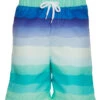Boys' Sketch Sunset Swim Trunks (Little Kid, Big Kid) 2 Boys' Sketch Sunset Swim Trunks (Little Kid, Big Kid) -Family Swim Shop 7484313731240 green 1a