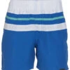 Boys' Striped Swim Trunks (Little Kid, Big Kid) -Family Swim Shop 7492687855784 blue 1a