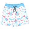 Boys' Swim Trunks (Baby) 2 Boys' Swim Trunks (Baby) -Family Swim Shop 7600913711272 crystalblue 1a