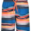 Under Armour Boys' UA Serenity Stripe Volley Shorts (Little Kid) 2 Under Armour Boys' UA Serenity Stripe Volley Shorts (Little Kid) -Family Swim Shop 7647420383400 bluecircuit 1a