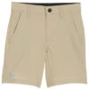 Under Armour Boys' UA Standard Amphibian Shorts (Little Kid, Big Kid) -Family Swim Shop 7647426740392 desertsand 1a