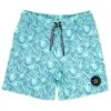 Boys' Peaks Board Shorts (Toddler, Little Kid, Big Kid) -Family Swim Shop 7717053104296 beachglass 1a