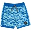 Boys' Retro Surf Board Shorts (Baby)