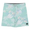 HURLEY Men's 20" Phantom Naturals Weekender Board Shorts 2 HURLEY Men's 20" Phantom Naturals Weekender Board Shorts -Family Swim Shop 7758088306856 tropicalmist 1a